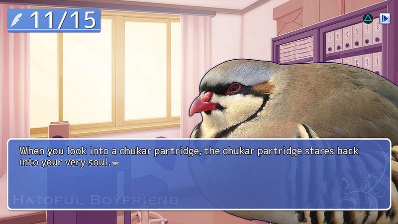 Hatoful Boyfriend aterriza el 21 de julio a PlayStation 4 y PS Vita con nuevos contenidos