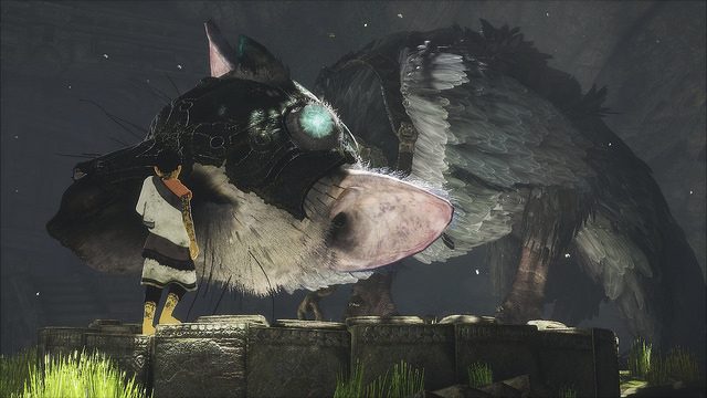 El Camino a The Last Guardian: Una Retrospectiva