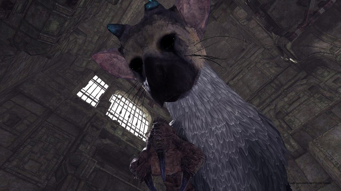 Prueben el Demo de The Last Guardian en PlayStation VR