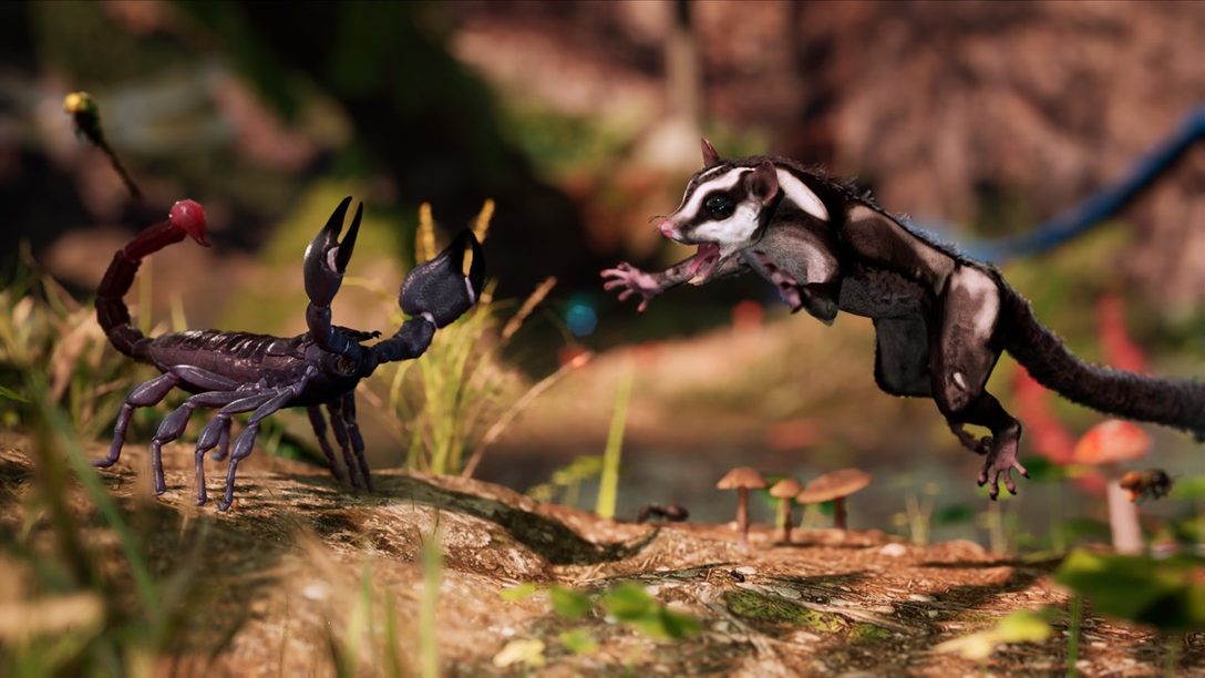 Vive tu propio documental sobre la naturaleza en Away: The Survival Series, espéralo en 2021