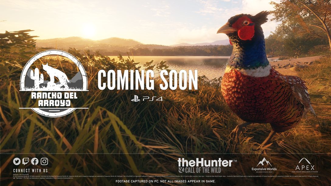 theHunter: Call of the Wild – siete consejos para dominar la caza en Rancho del Arroyo