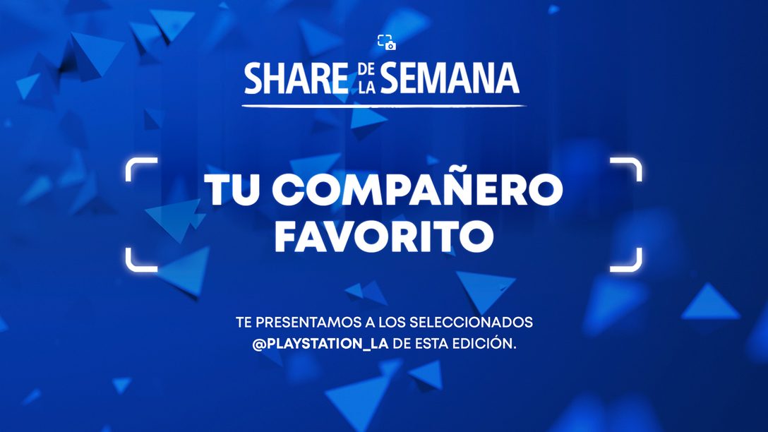 Share de la Semana: Tu Compañero Favorito