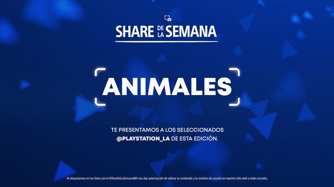 Share de la Semana: Animales